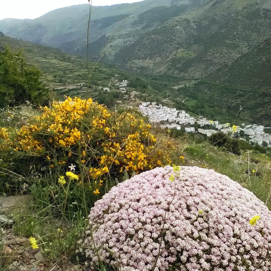 Refugio Alpujarra Alta Bed and Breakfast Trevélez Buitenkant foto